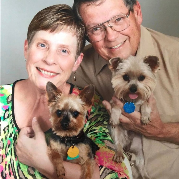 Our Yorkie boys Bentley and Arnold - Picture 8 of 8